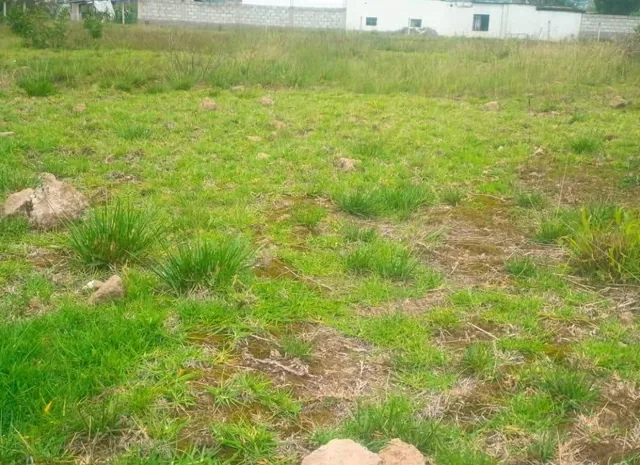 Terreno de Venta Sector Lampata 3500 m², Tungurahua — imagen 4