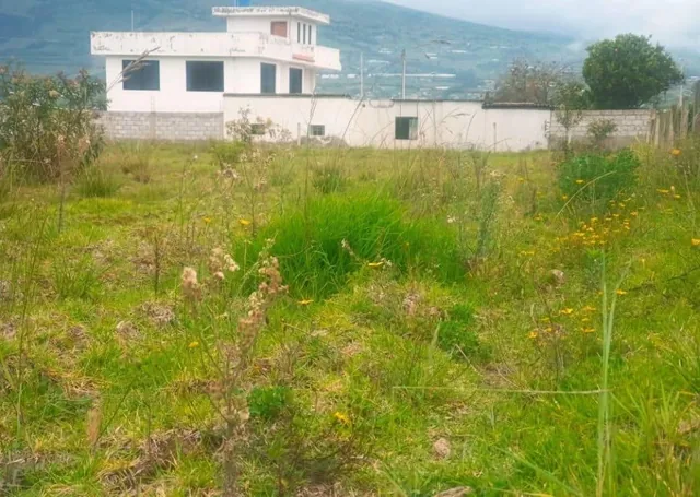 Terreno de Venta Sector Lampata 3500 m², Tungurahua — imagen 3