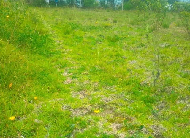 Terreno de Venta Sector Lampata 3500 m², Tungurahua — imagen 2