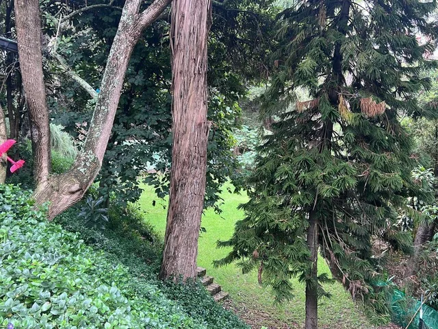 Tumbaco Terreno de Venta Sector La Viña Ideal Para Constructores — imagen 5