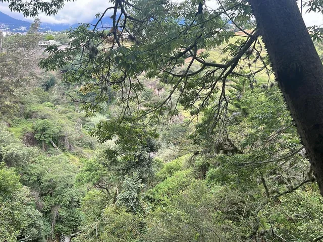 Tumbaco Terreno de Venta Sector La Viña Ideal Para Constructores — imagen 3