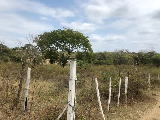 Lotización Tiffany, Lotes en Venta, Excelente Precio, Km. 22 Vía a La Costa, Guayas — imagen 4