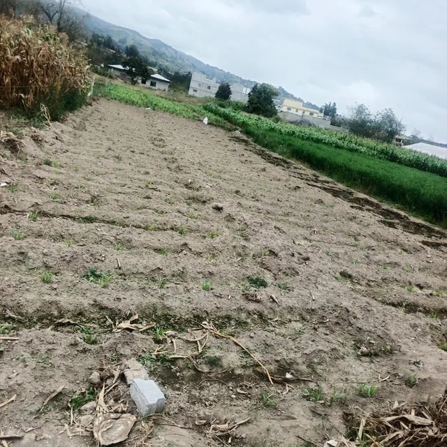 Terreno Plano Sector Martínez, Tungurahua — imagen 5
