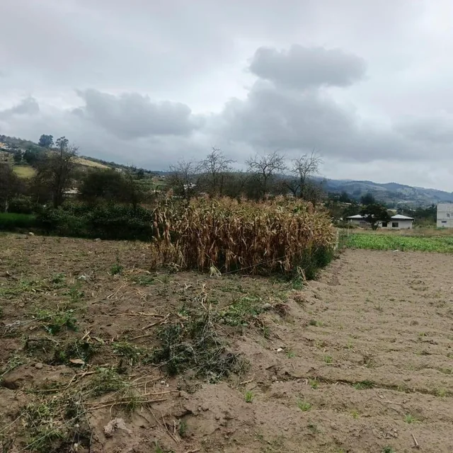 Terreno Plano Sector Martínez, Tungurahua — imagen 4