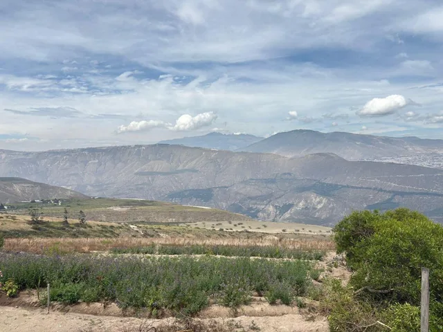 Venta Terreno 4583 m² Sector Malchinguí — imagen 2