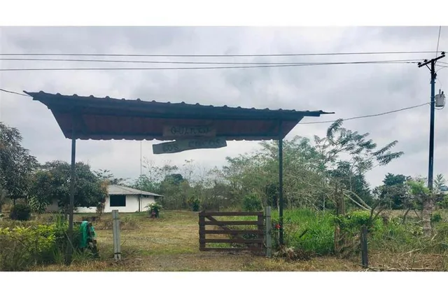 Venta Terreno 1 Hect - Bucay (Jlr), Guayas — imagen 4