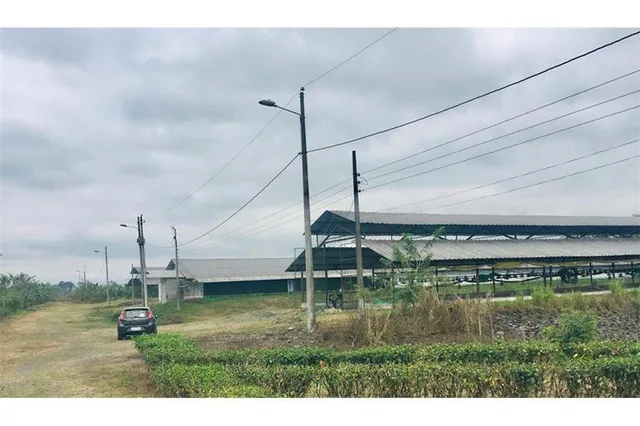 Venta Terreno 1 Hect - Bucay (Jlr), Guayas — imagen 2