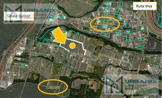 Terreno Para Urbanización Entre Lumbisí y San Patricio. Provincia de Pichincha — imagen 2