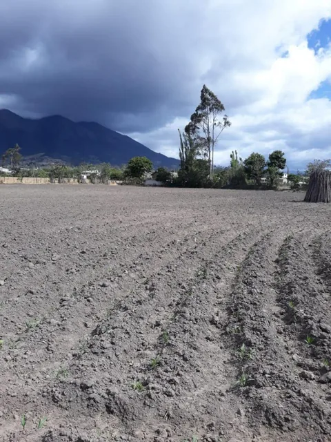 De Venta Hectárea de Terreno en Atuntaqui, Imbabura — imagen 5
