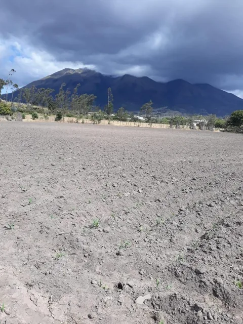 De Venta Hectárea de Terreno en Atuntaqui, Imbabura — imagen 4