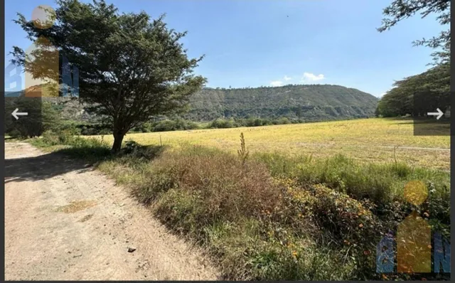 Venta Hacienda 30 Has 69 Has Bosque Protector Tababela Yaruqui Pifo — imagen 5