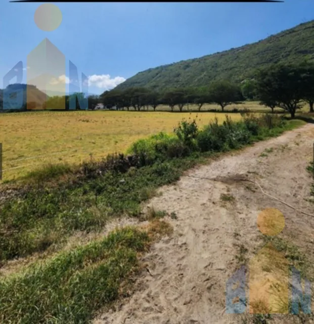 Venta Hacienda 30 Has 69 Has Bosque Protector Tababela Yaruqui Pifo — imagen 3
