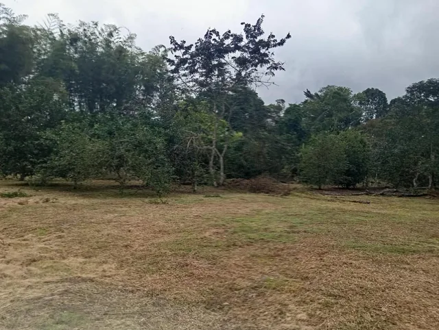 En Venta Terrenos en Urbanización Privada, Pedro Vicente Maldonado Cerca a Quito — imagen 4