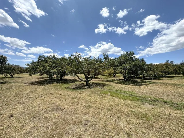 Terreno Plano de Venta en Arrayanes Puembo — imagen 4
