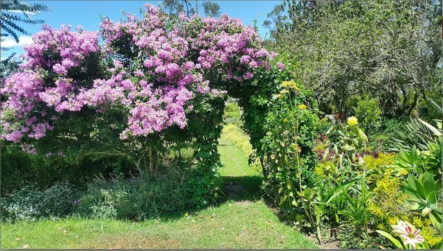 Checa Finca de Venta. Ideal Para Eventos — imagen 5