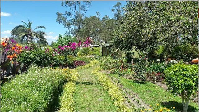 Checa Finca de Venta. Ideal Para Eventos — imagen 4