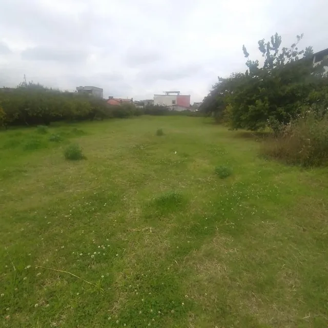 Venta Terreno Centro de Pifo — imagen 5