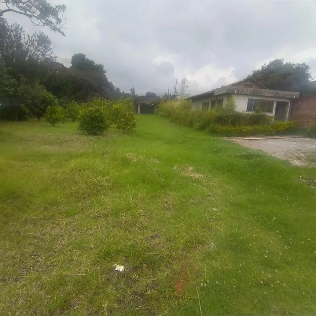 Venta Terreno Centro de Pifo — imagen 4