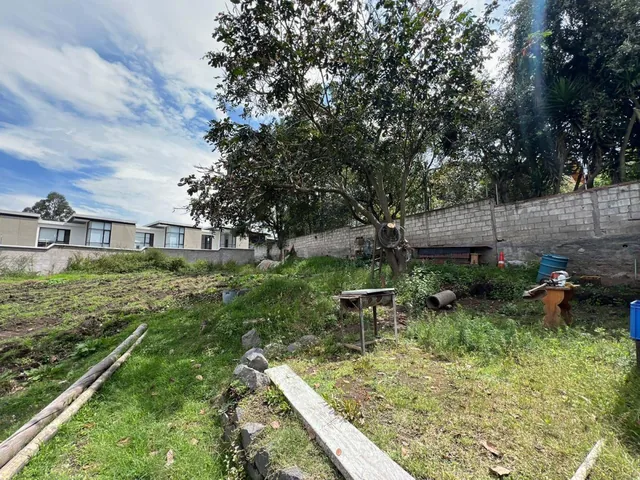 Mv - Sector San Juan de Cumbaya, en Venta Terreno 4002 m² Ideal Proyecto Inmobiliario — imagen 3