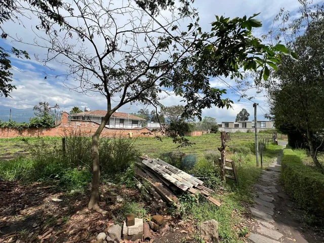 Mv - Sector San Juan de Cumbaya, en Venta Terreno 4002 m² Ideal Proyecto Inmobiliario — imagen 2