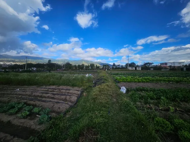 Terreno en Venta Yaruqui — imagen 4
