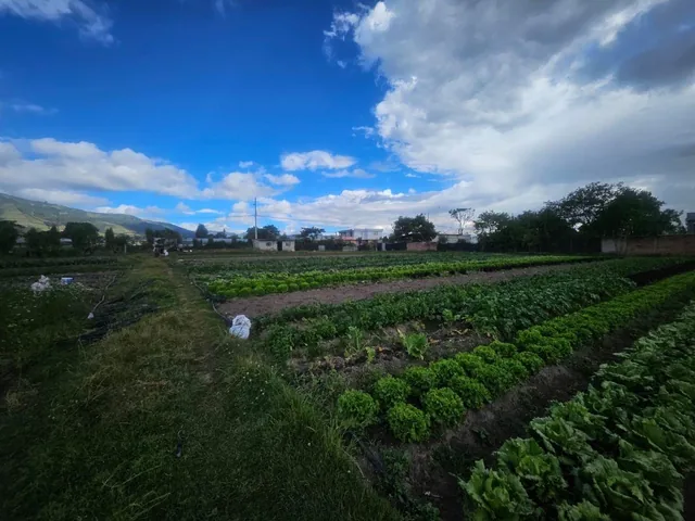 Terreno en Venta Yaruqui — imagen 3