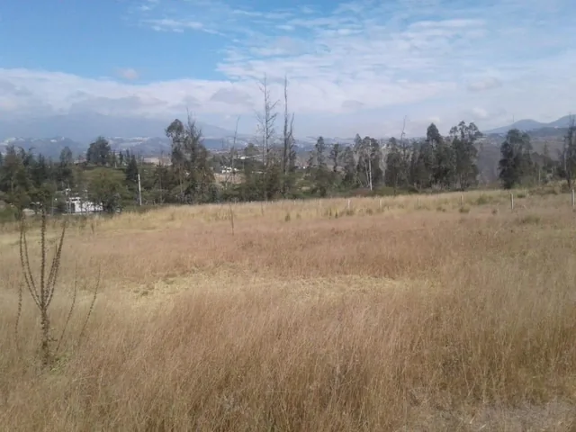 Venta Terrenos Puembo Sector Napoles — imagen 3
