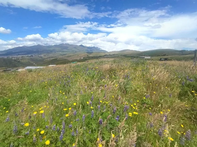 Terreno en Venta, Tenerias Norte de Quito — imagen 3