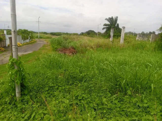 Terreno en Cojimíes, Manabí — imagen 3