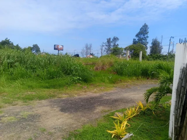 Terreno en Cojimíes, Manabí — imagen 2