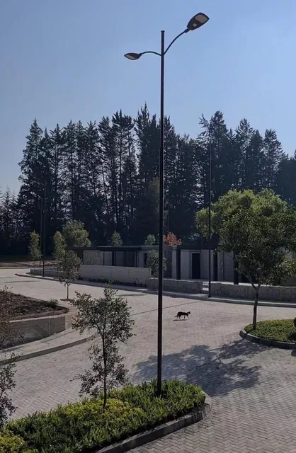 Mv - Puembo, en Venta Lote de Terreno 397 m², en Urbanizacion Exclusiva — imagen 4