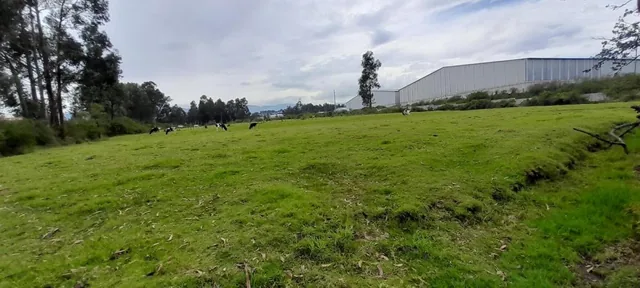 Terreno de Venta en El Valle de Los Chillos, Sector Inchalillo. 8973 m. Provincia de Pichincha — imagen 4