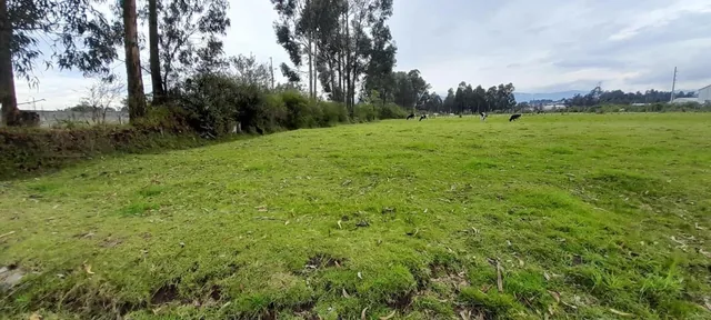 Terreno de Venta en El Valle de Los Chillos, Sector Inchalillo. 8973 m. Provincia de Pichincha — imagen 2