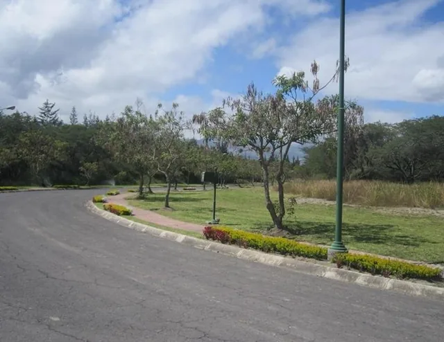 Venta Terreno Urbanizacion Arrayanes Sector Puembo — imagen 4