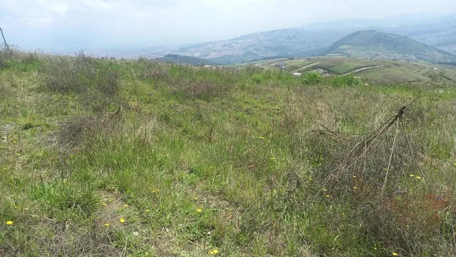 Venta Terreno de 1000 m² en Catzuqui de Velazco — imagen 4