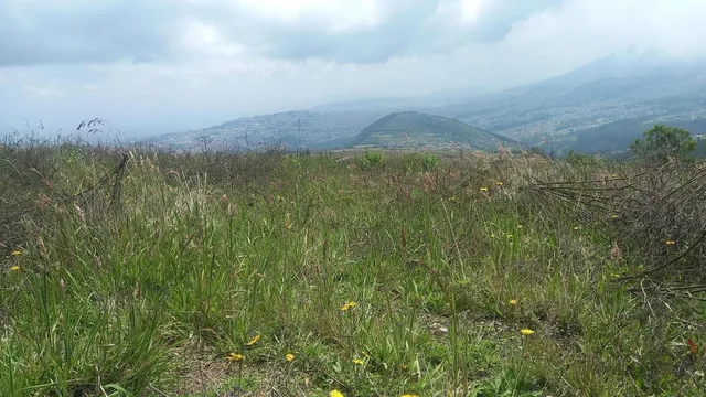 Venta Terreno de 1000 m² en Catzuqui de Velazco — imagen 3