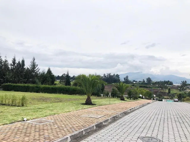 Vendo Terreno / Unifamiliar / Puembo / Pifo / Chaupimolino — imagen 5