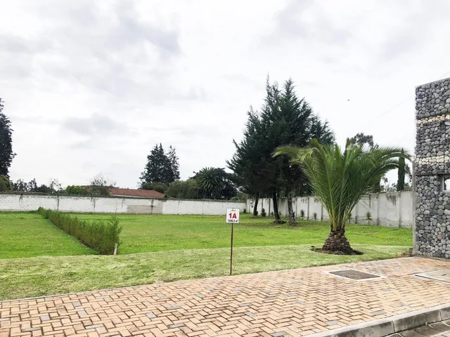 Vendo Terreno / Unifamiliar / Puembo / Pifo / Chaupimolino — imagen 4