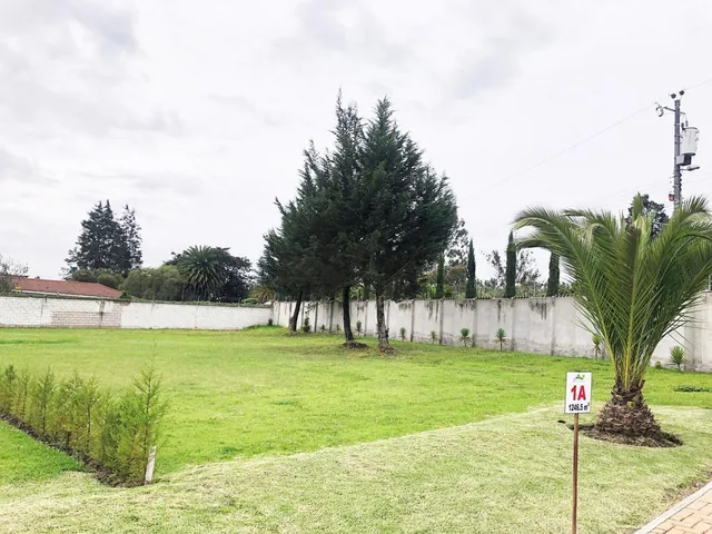 Vendo Terreno / Unifamiliar / Puembo / Pifo / Chaupimolino — imagen 3