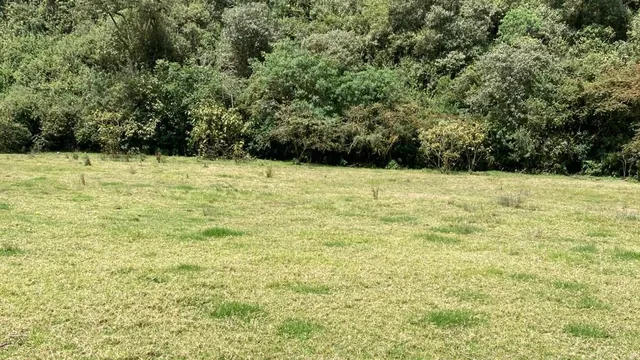 Cráter Pululahua - Terreno en Venta — imagen 3