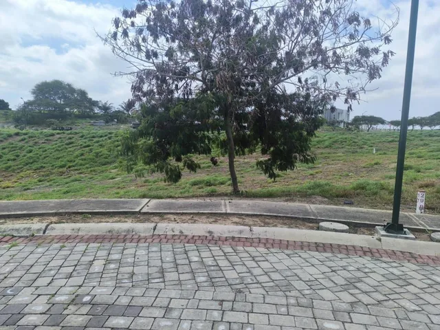 Terreno en Montecristi, Manabí — imagen 4