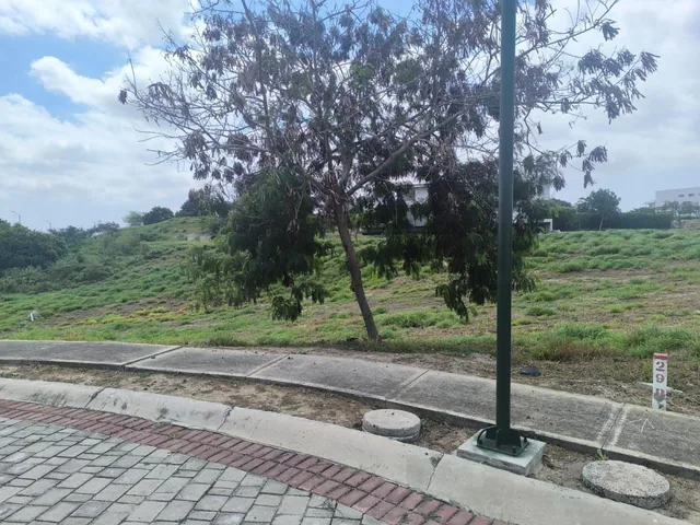 Terreno en Montecristi, Manabí — imagen 3