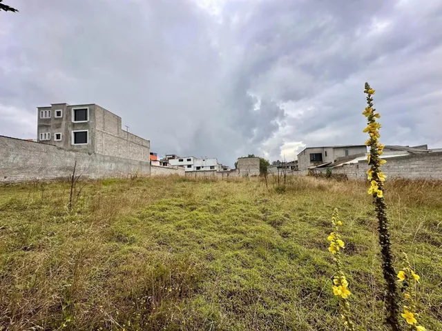 Terreno en Venta en Calderon Sector San Jose de Moran — imagen 2