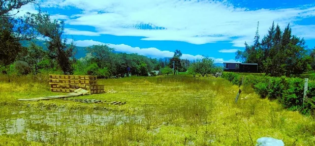 Venta Terreno 17.000 m² en Puembo, Factible Construir 5 Casas, con Regadío. Provincia de Pichincha — imagen 4