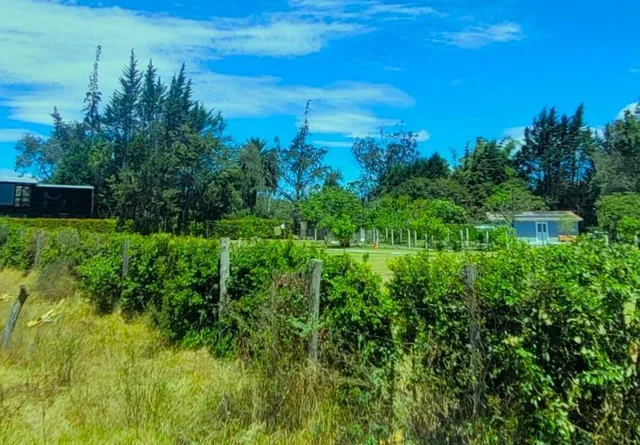 Venta Terreno 17.000 m² en Puembo, Factible Construir 5 Casas, con Regadío. Provincia de Pichincha — imagen 2