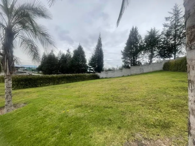 Venta Lotes Puembo - Urbanizacion Privada - Home Realtors By Monica Miranda — imagen 5