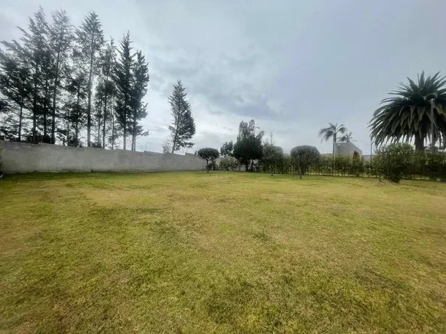 Venta Lotes Puembo - Urbanizacion Privada - Home Realtors By Monica Miranda — imagen 3