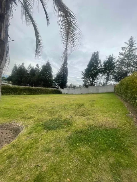 Venta Lotes Puembo - Urbanizacion Privada - Home Realtors By Monica Miranda — imagen 2