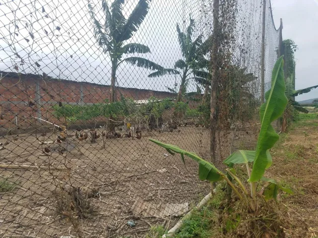 Terreno de Venta en Montecristi Sitio Toalla Chica, Manabí — imagen 5