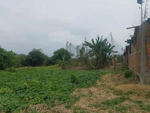 Terreno de Venta en Montecristi Sitio Toalla Chica, Manabí — imagen 3
